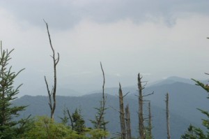 I wonder why they call these The Great Smoky Mountains?